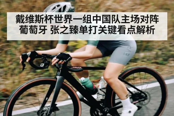 戴维斯杯世界一组中国队主场对阵葡萄牙 张之臻单打关键看点解析